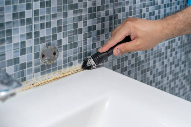 Best Attic Mold Removal  in Roanoke, IL
